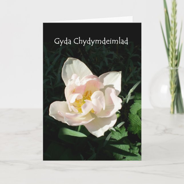 Cartão de condolências 'Tulip' - Saudação galesa (Frente)