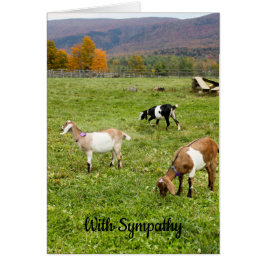 Cartão de condolências Vermont Goats