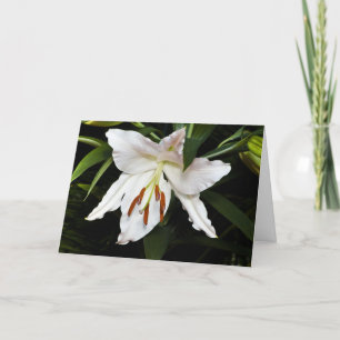 Cartão de condolências White Lily