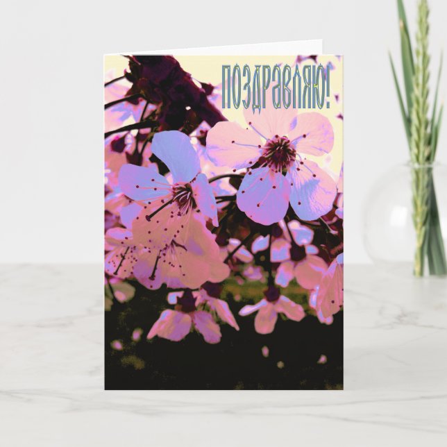 Cartão de congratulação russo com flores de cereje (Frente)