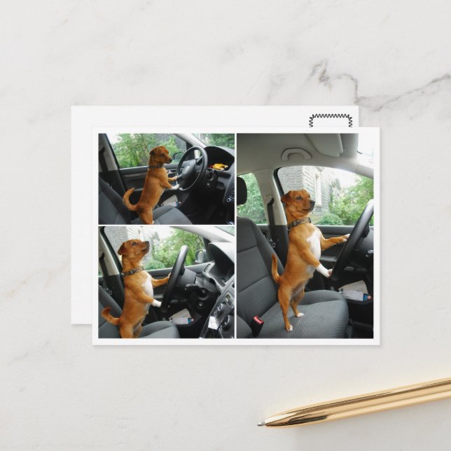 Cartão de congratulações pela carta de condução  (Frente/Verso In Situ)