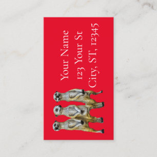 Cartão De Contato 3 Meerkats em pé Thunder_Cove