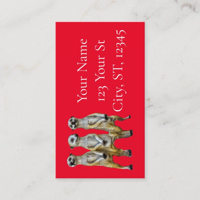 Cartão De Contato 3 Meerkats em pé Thunder_Cove (Frente)