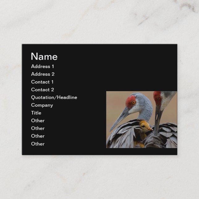 Cartão De Contato Bebê Sandhill com mamã (Frente)