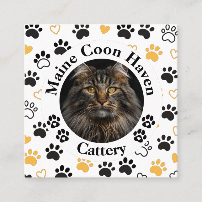 Cartão De Contato Custom Maine Coon Cattery Square Business Card  (Frente)