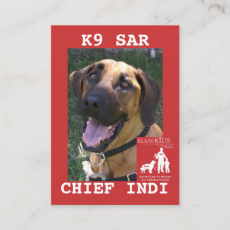 Cartão De Contato o cabeça-chefe, equipe da busca de KlassKids