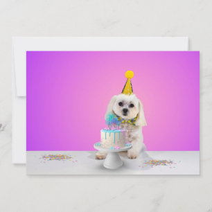 Cartão de Convite de Festa Personalizável 5x7