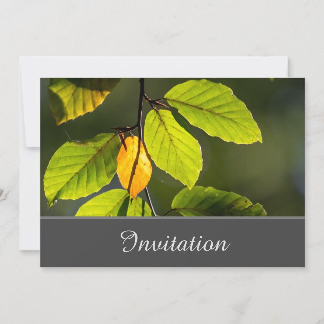Cartão de Convite para Enchimento com Folhagem Col (Frente)
