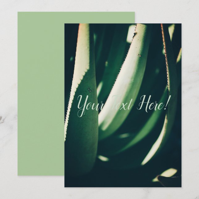 Cartão de Convite Verde de Planta de Aloe Personal (Frente/Verso)
