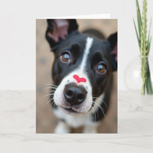 Cartão de Coração de Amor de Cachorrinho