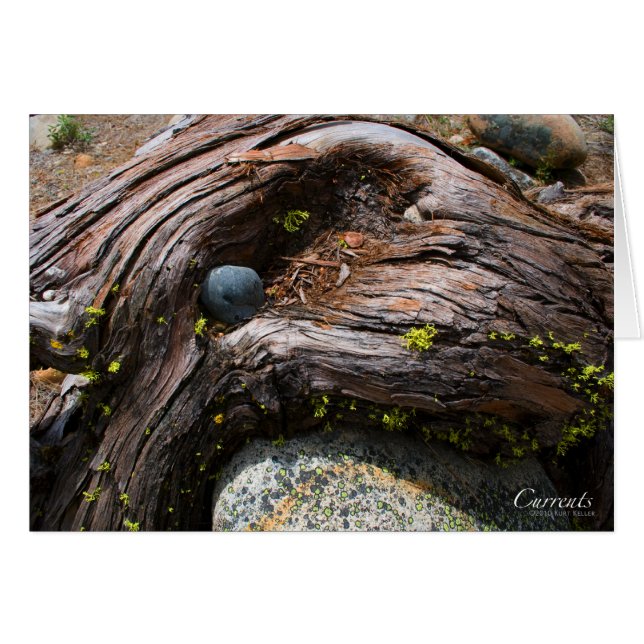 Cartão de corrente (Frente horizontal)