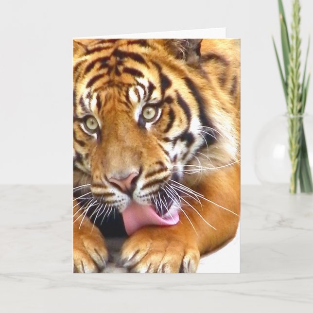 Cartão de cumprimentos (Frente)