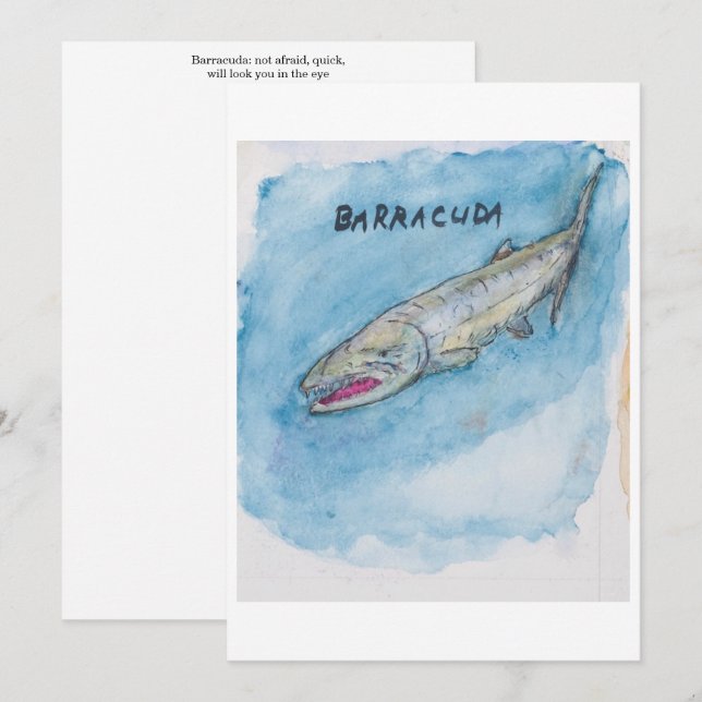 Cartão de Cumprimentos Barracuda (Frente/Verso)