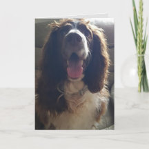 Cartão de cumprimentos com amor