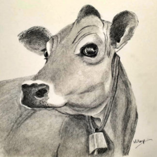 Cartão de cumprimentos Daisy Cow