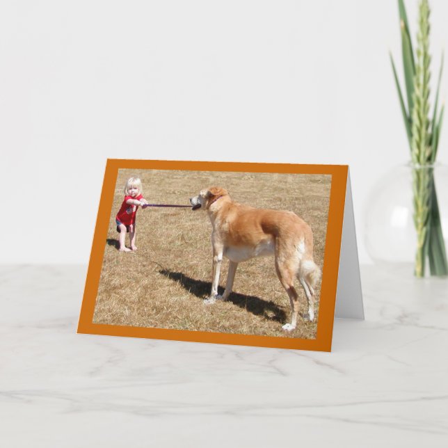 Cartão de Cumprimentos de Determinação (Frente)