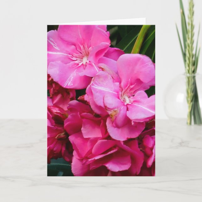 Cartão de cumprimentos de flores cor-de-rosa (Frente)