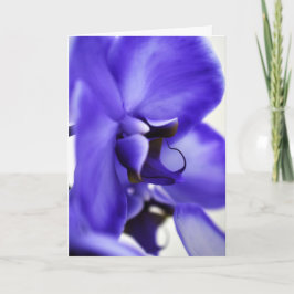 Cartão de Cumprimentos de Fotografia Floral Orquíd