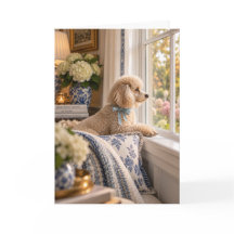 Cartão de Cumprimentos de Poodle Miniatura