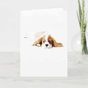 Cartão de Cumprimentos do Cavalier King Charles Sp