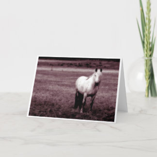 Cartão de cumprimentos do cavalo