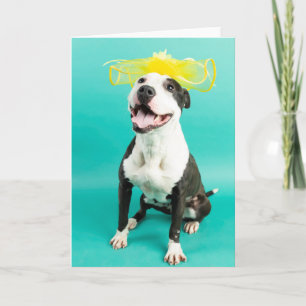 Cartão de cumprimentos em branco