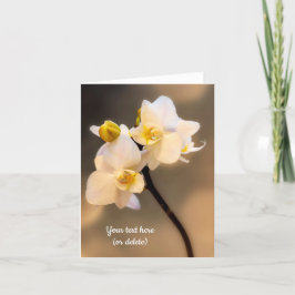 Cartão de cumprimentos Orquídea Branca