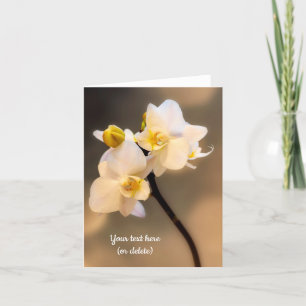 Cartão de cumprimentos Orquídea Branca