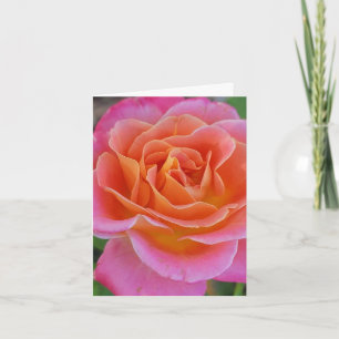 Cartão de Cumprimentos Personalizado Rosa Rosa e L