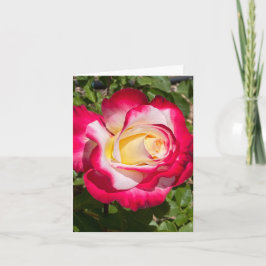 Cartão de Cumprimentos Personalizado Rosa Vermelha