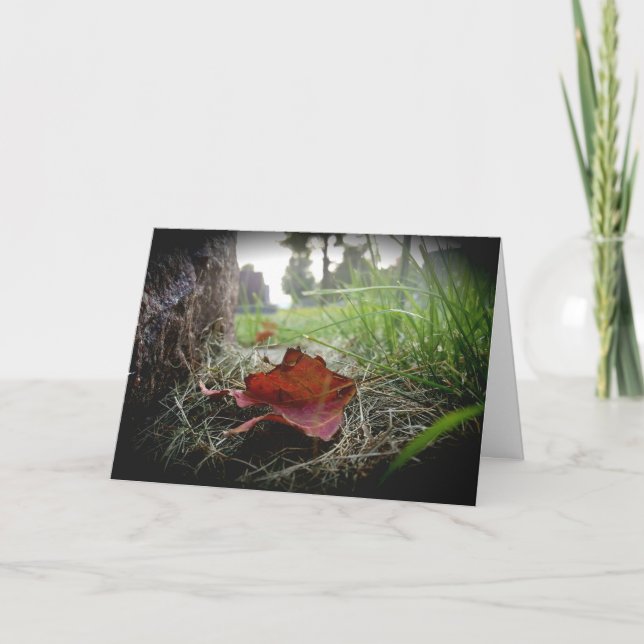 Cartão de Cumprimentos “Primeiro Sinal do Outono” (Frente)