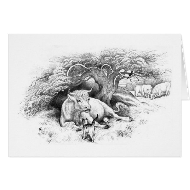 Cartão de Descarte de Vaca (Frente Horizontal)