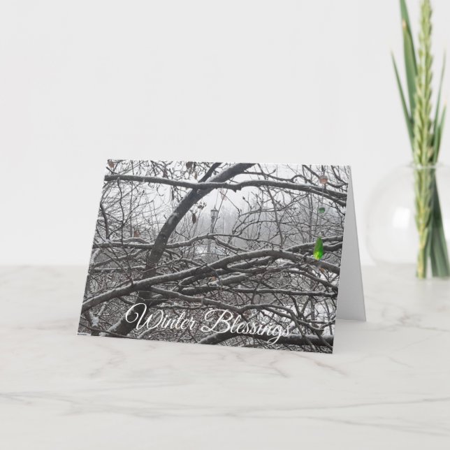 Cartão de Desejo de Férias de Inverno (Frente)