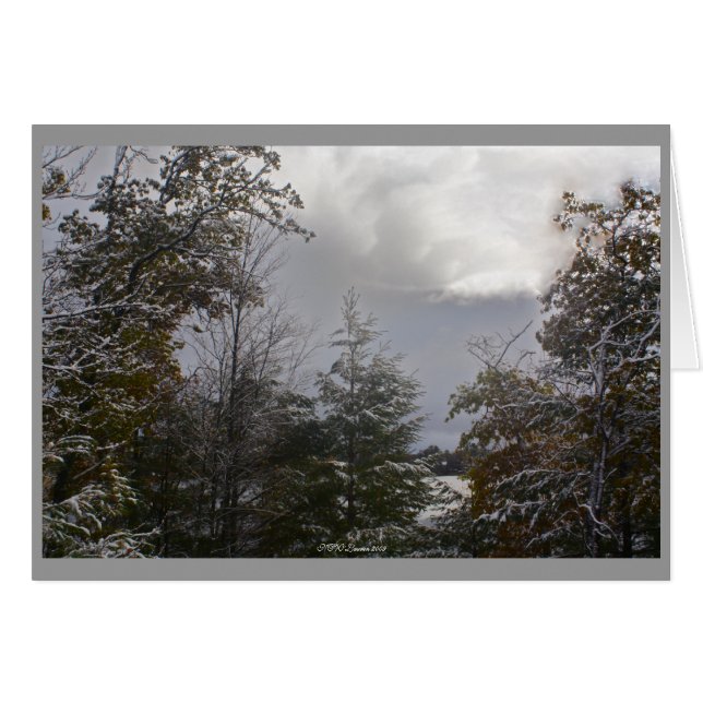 Cartão de Dia da cinza (Frente Horizontal)