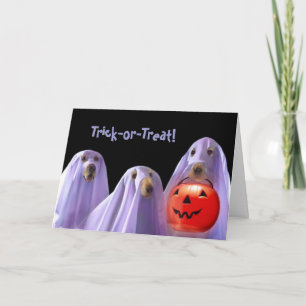 Cartão de Dia das Bruxas para Cães Fantasmas de Tr