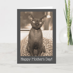 Cartão de Dia das Mães para Gato   Devon Rex Foto 