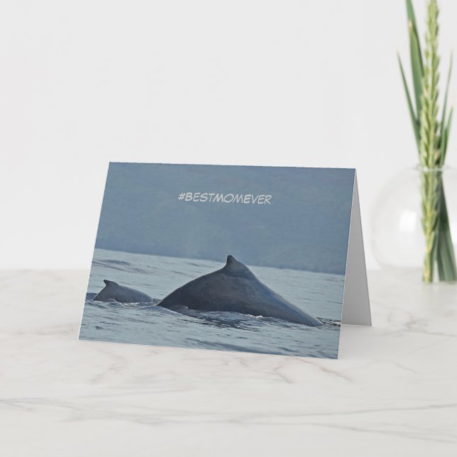 Cartão de dia de as mães com baleias jubarte (Frente)
