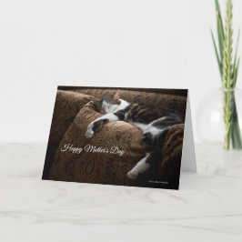 Cartão de Dia de as mães de Gato Amigo com Dormênc