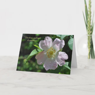 Cartão de Dia de Nome em Tcheco