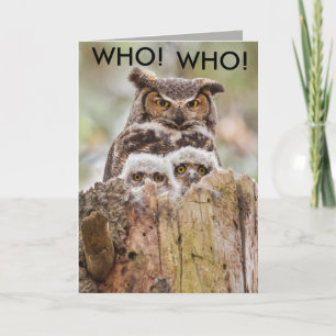 Cartão de Dia de os pais Hoot Owls
