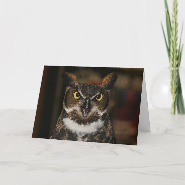 Cartão de Dia de os pais Owl (Frente)