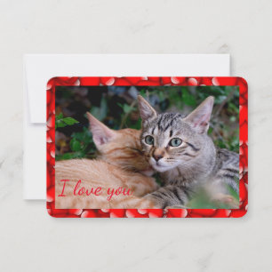 Cartão de Dia dos Namorados de Gato Fofo