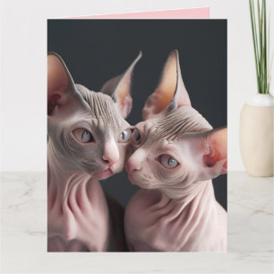 CARTÃO DE DIA DOS NAMORADOS GRANDE DE GATO SEM PEL