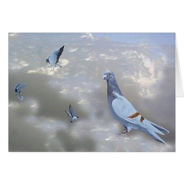 Cartão de direcção dos pássaros de Pidgeons (Frente Horizontal)