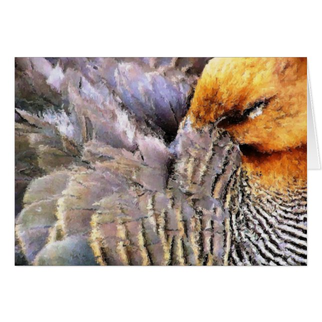 CARTÃO DE DUCKS (Frente Horizontal)