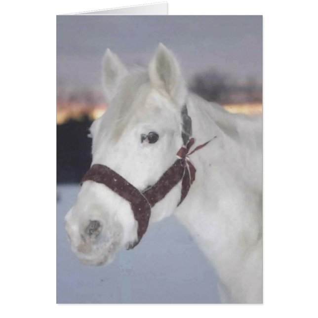 Cartão de Ella (Frente)