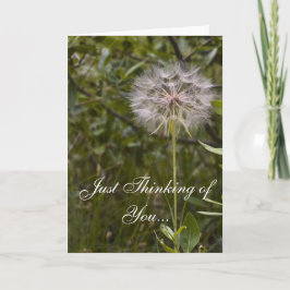 Cartão de encorajamento Deuteronomy 31:6