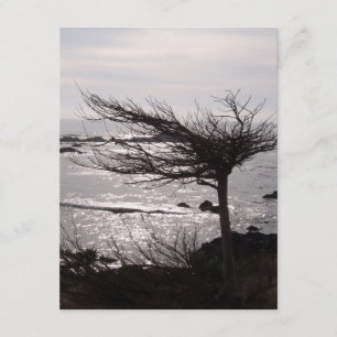 Cartão de Encorajamento Verso da Bíblia da Árvore 