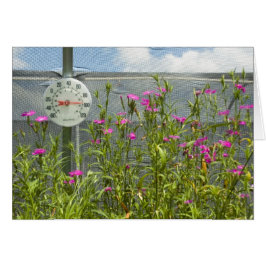 Cartão de Enfermeiro de Casa Quente