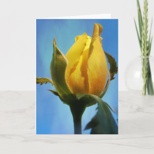 Cartão de Escritura Rosa Amarelo - Lamentações 3:2